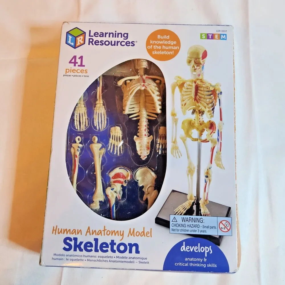 Learning Resources Mini Skeleton Model 9.2